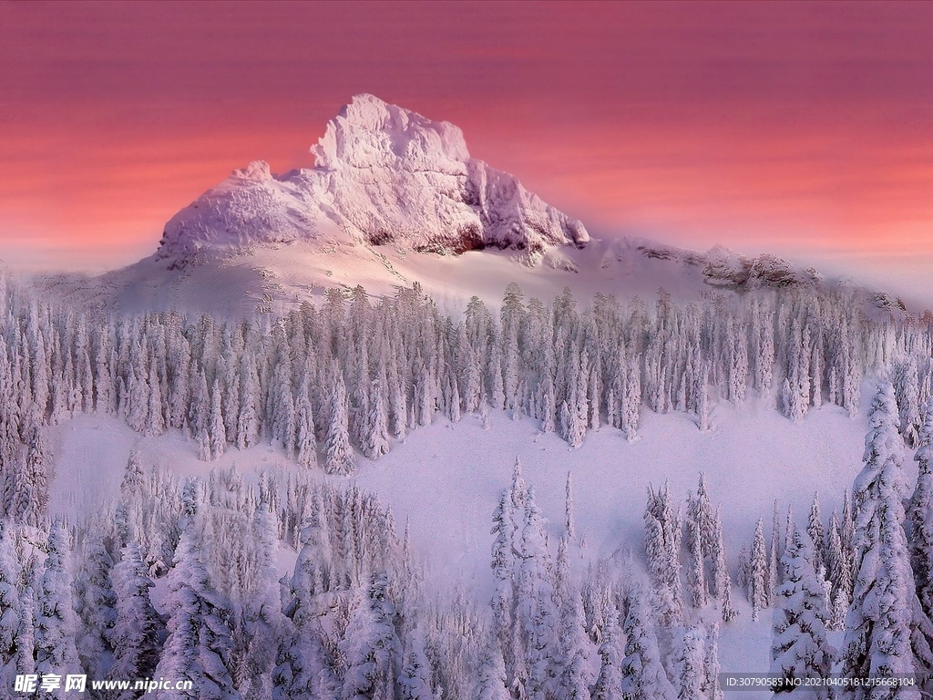 雪景