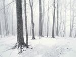 雪景