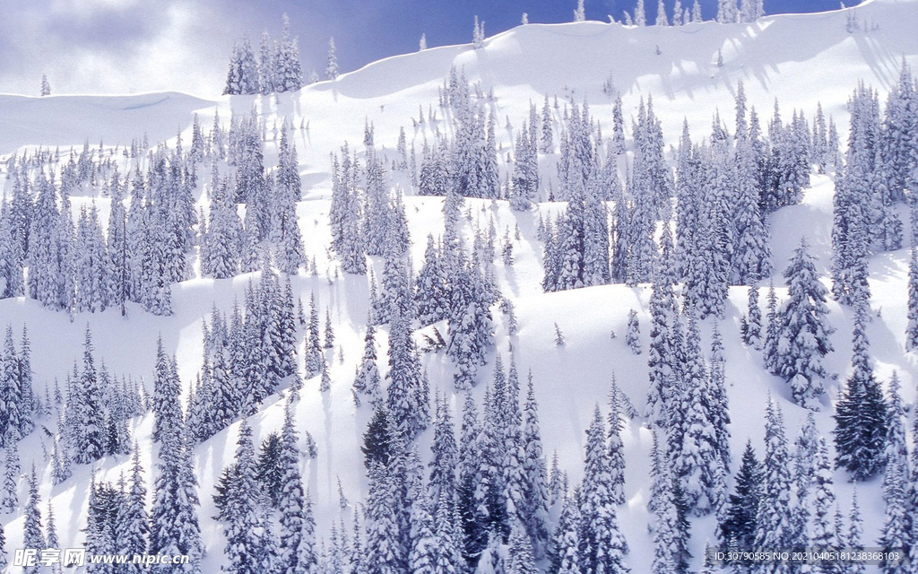 雪山景观