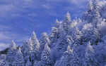 雪山景观