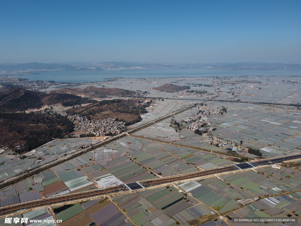 田野