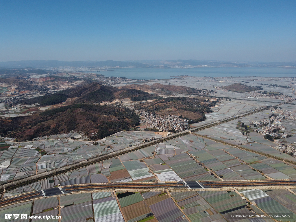 田野