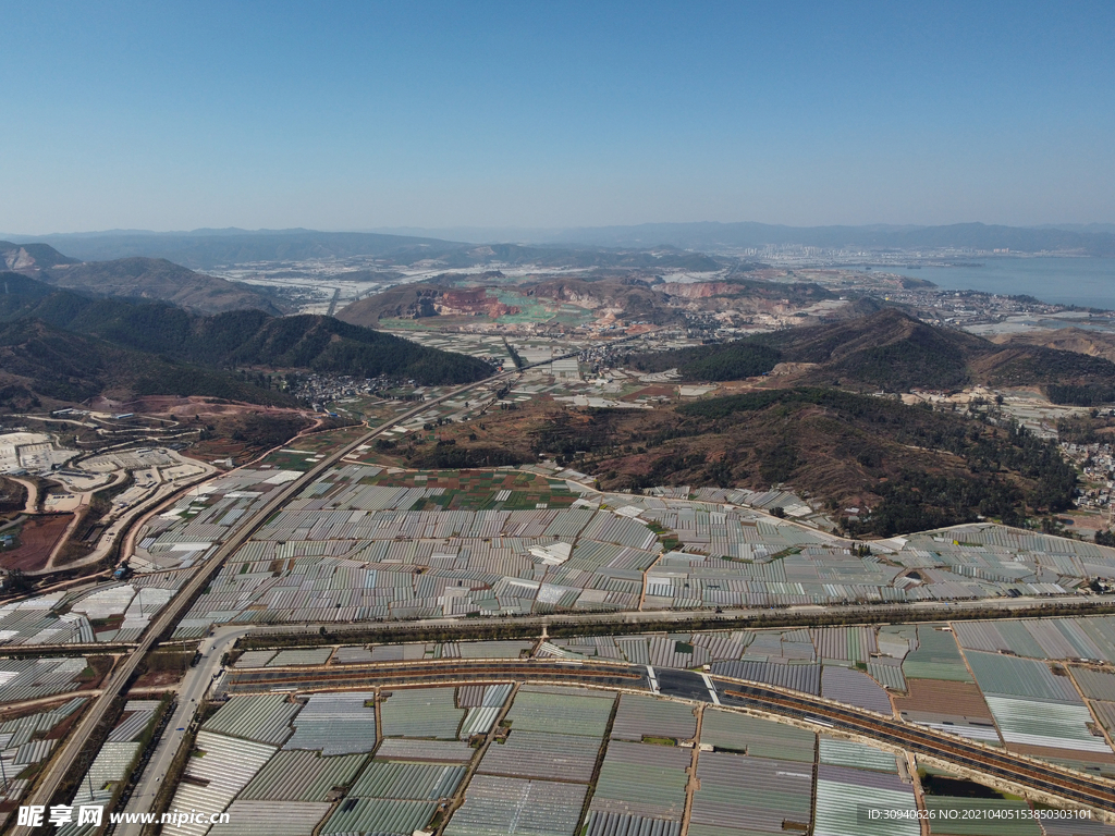 田野