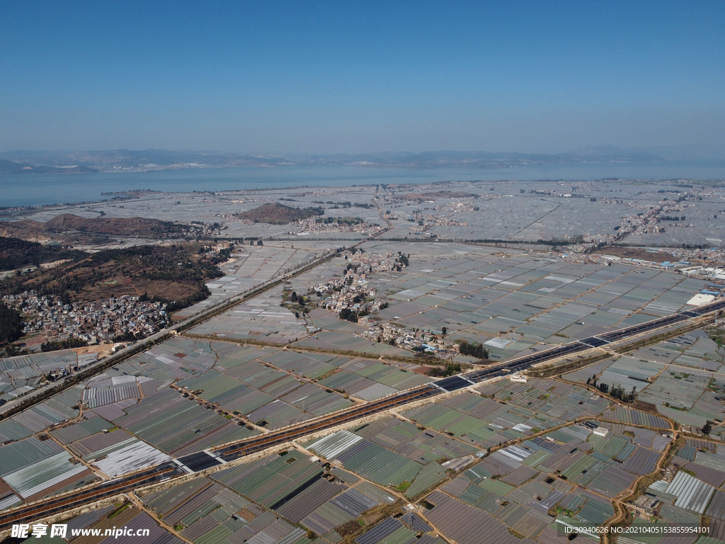 田野