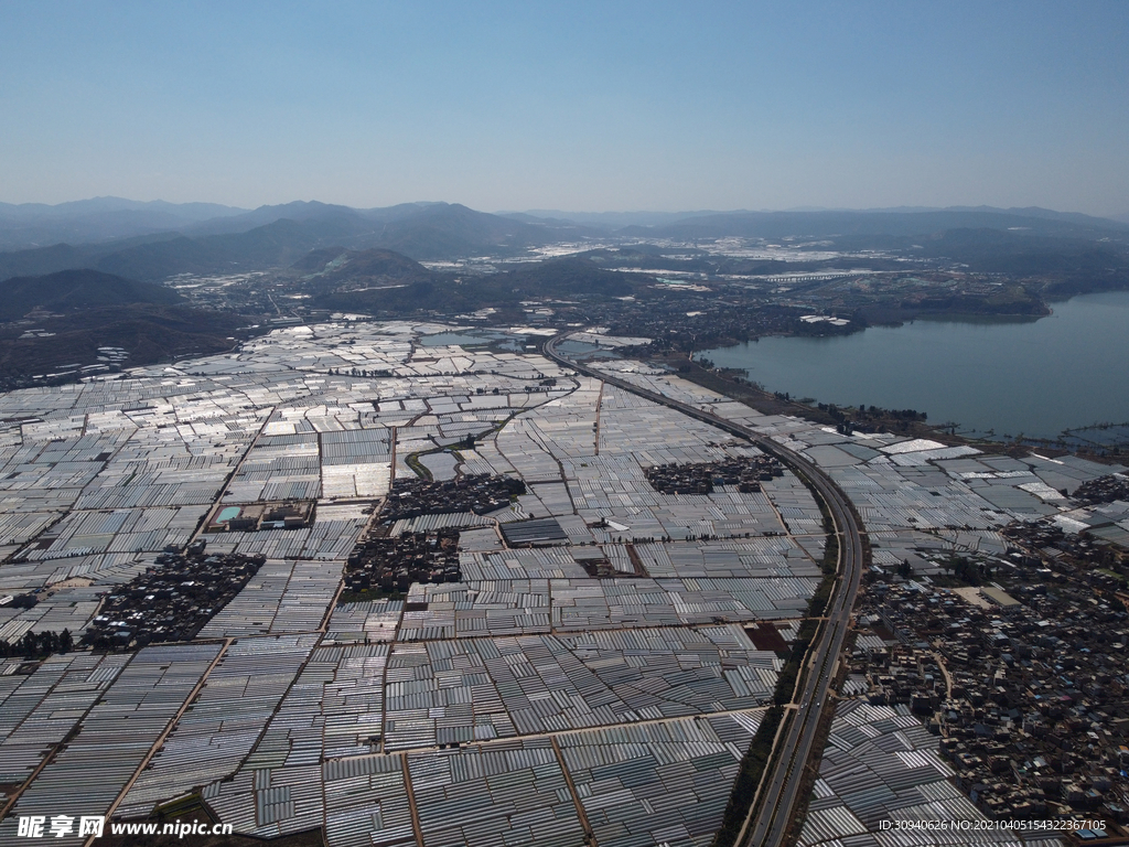 田野