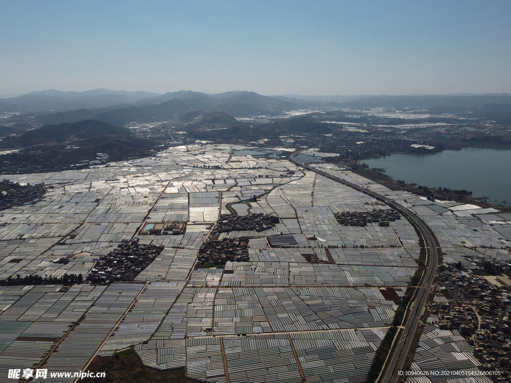 田野