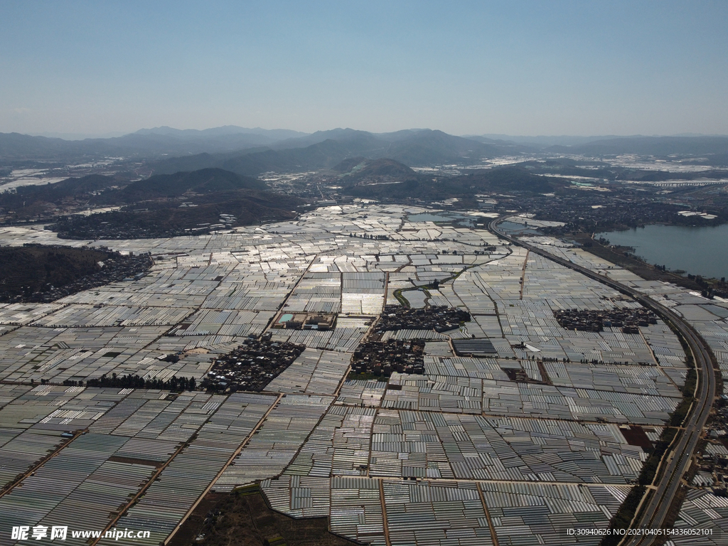 田野