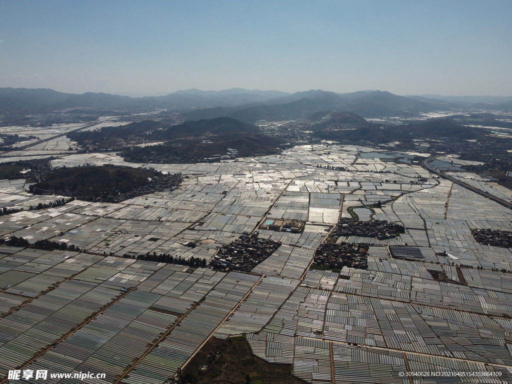 田野