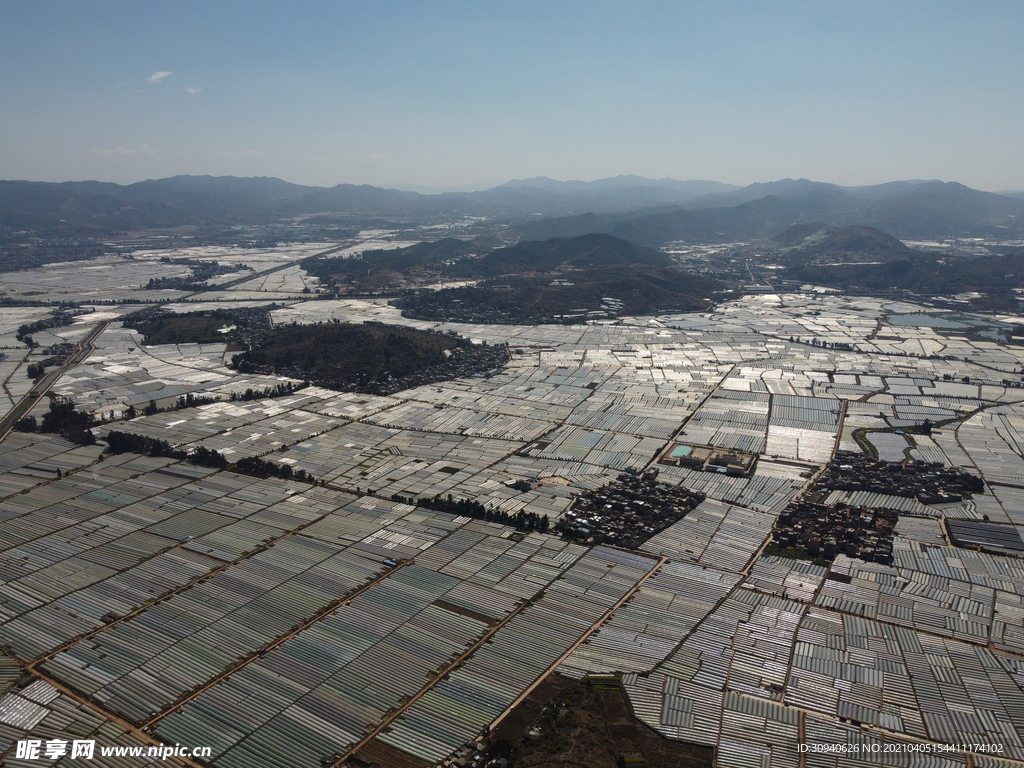 田野