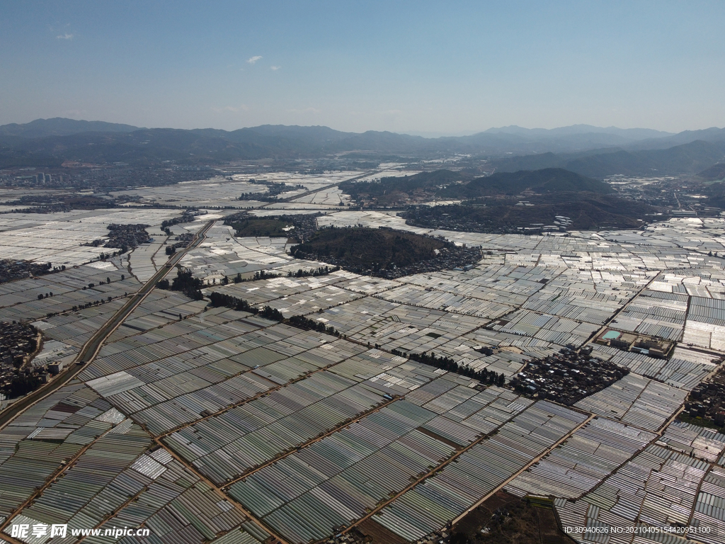 田野