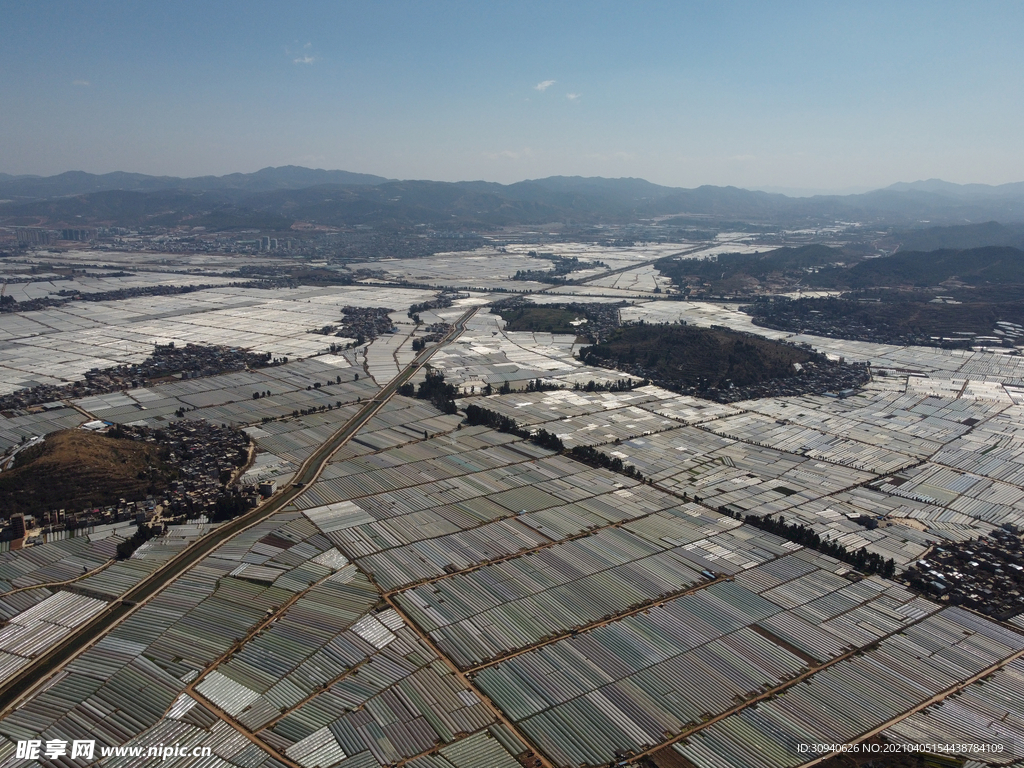 田野