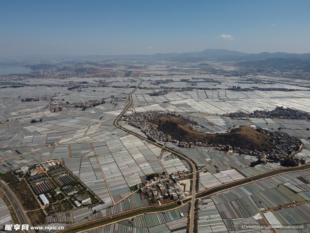 田野