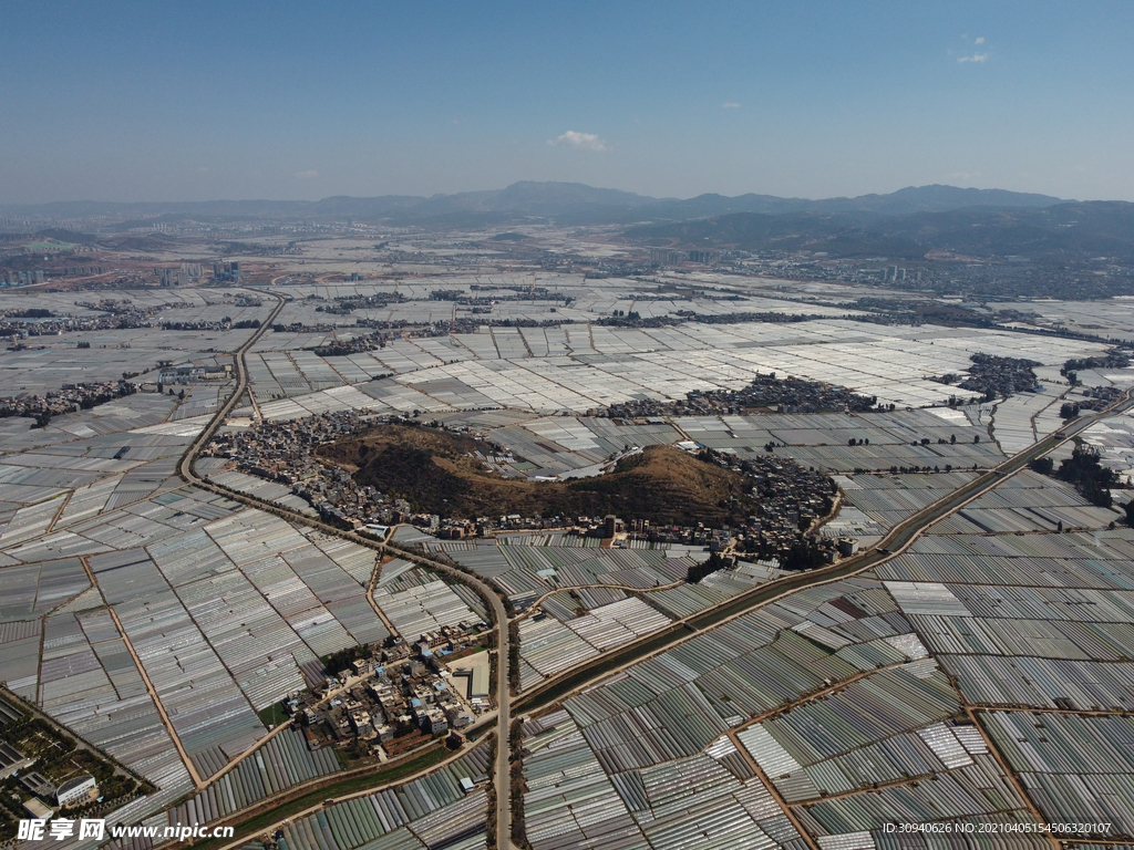 田野