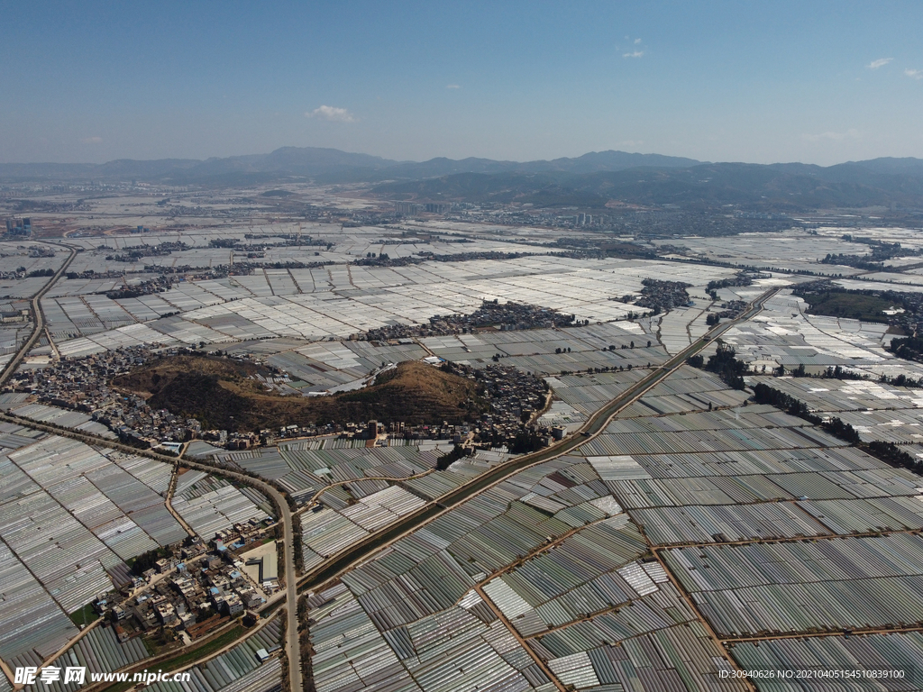 田野