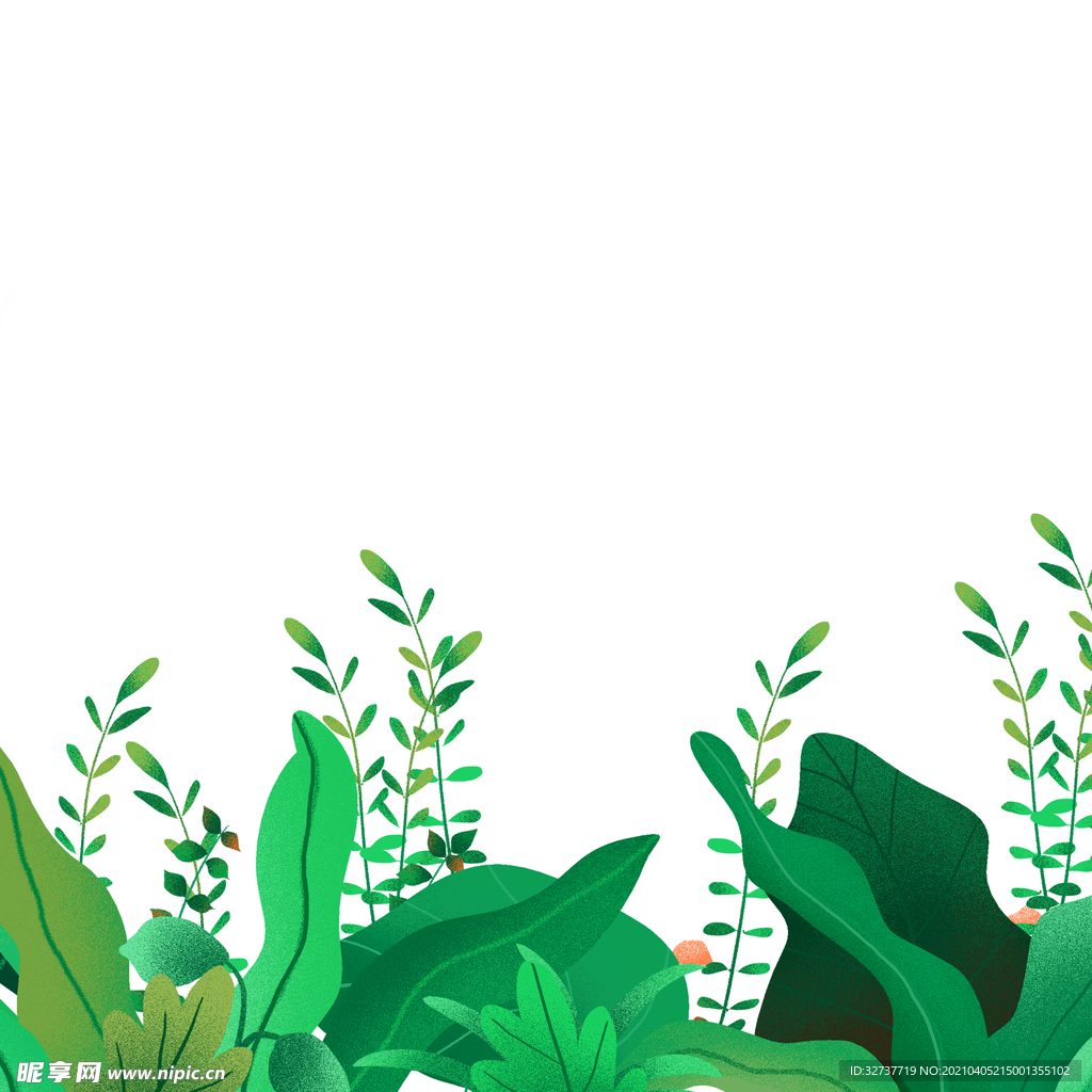 绿色植物装饰插画树叶元素