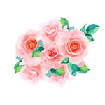 插画卡通植物花朵元素