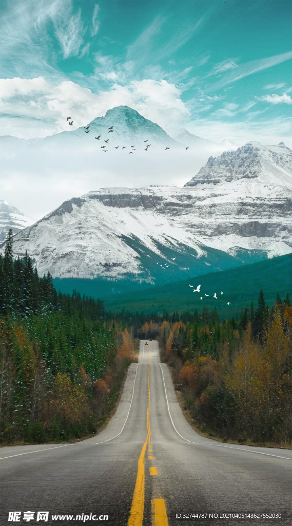 道路风景