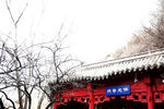 山寺 佛岩寺 古寺 佛光 清净