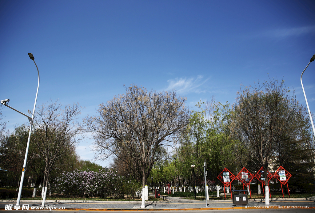 城市街景