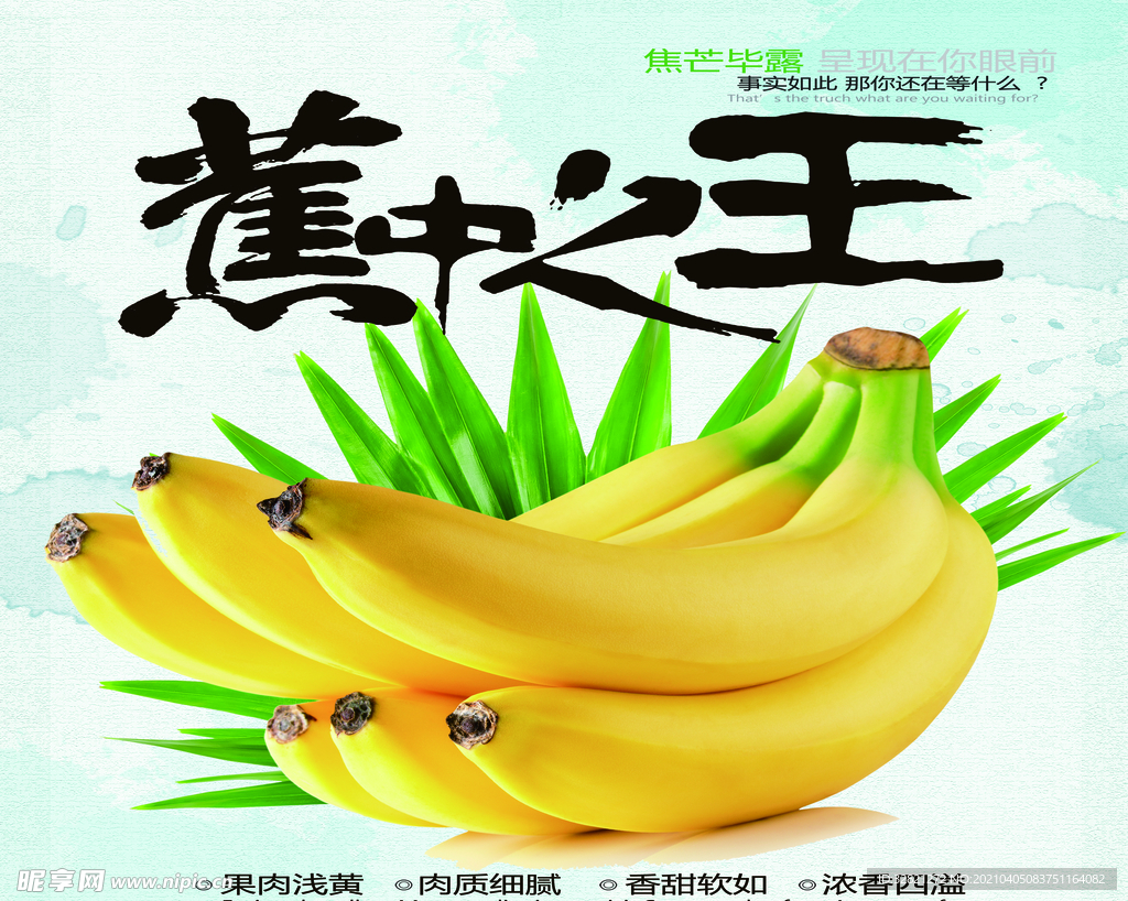 香蕉 海报