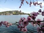 颐和园