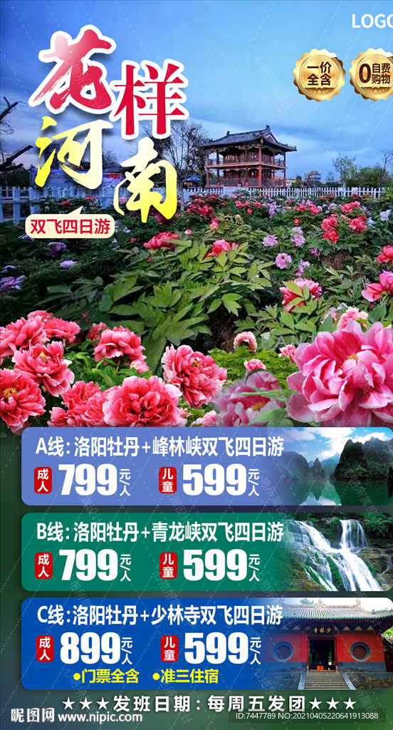 牡丹