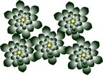 花纹