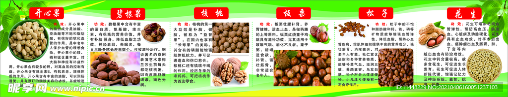 坚果介绍