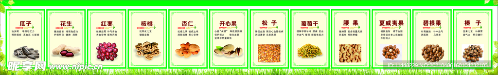 坚果介绍