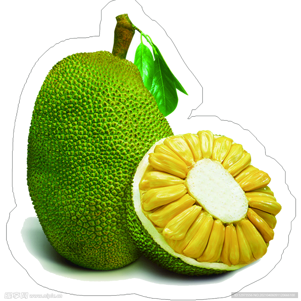 菠萝蜜
