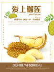 榴莲