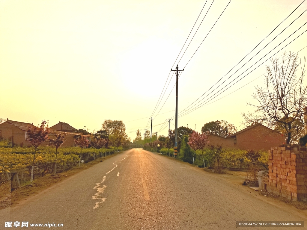 日暮下的乡村道路风景