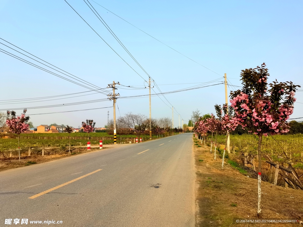 蓝天下的乡村道路风景