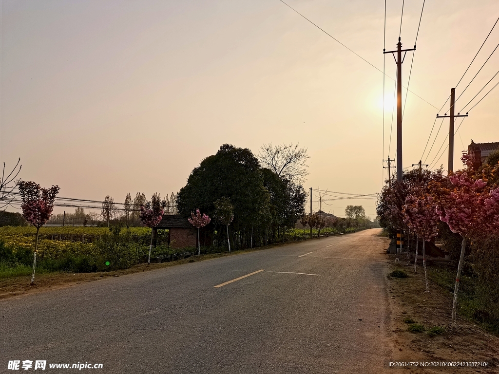 日暮下的乡村道路风景