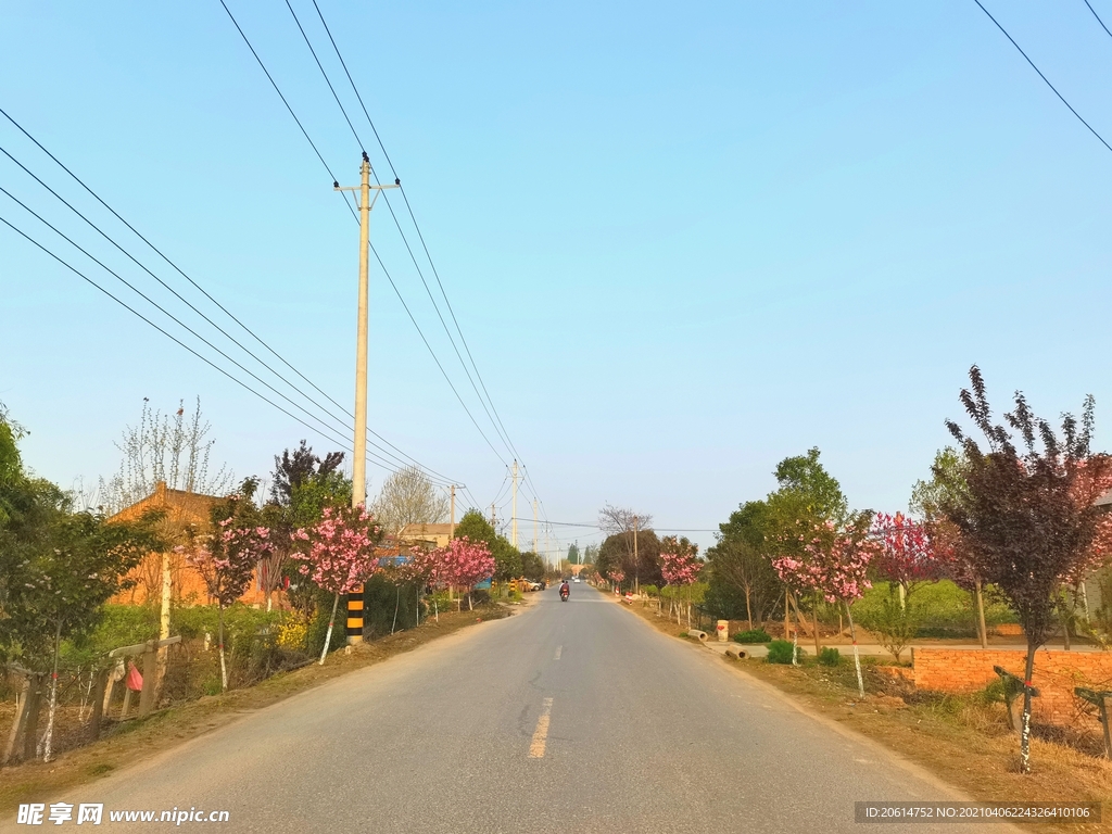 蓝天下的乡村道路风景