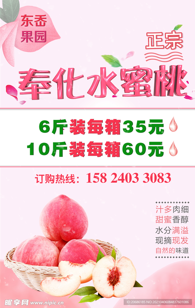 水果海报