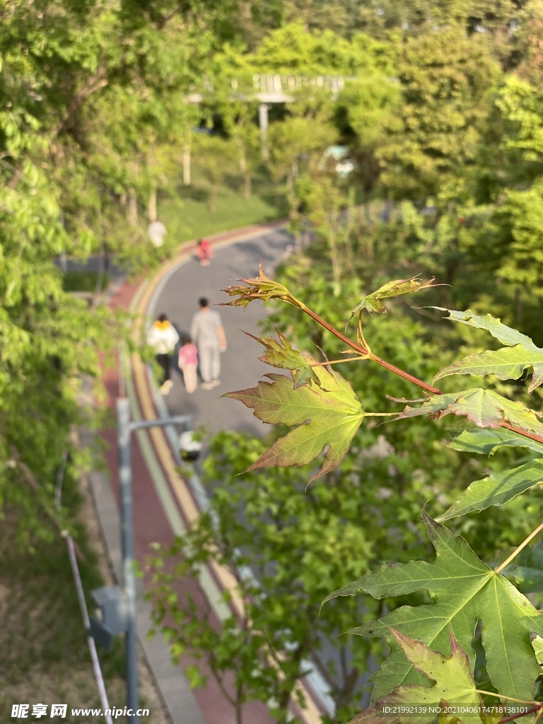 成都新川公园