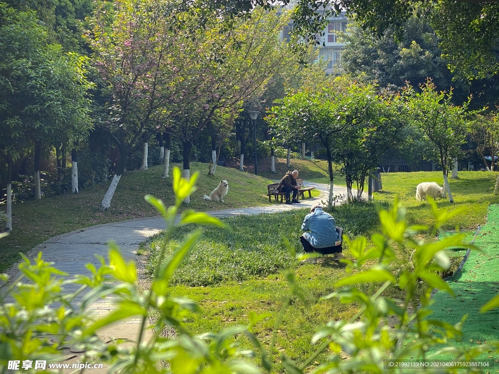 茶文化公园