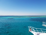 珊瑚礁海景