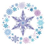 雪花环和冰晶