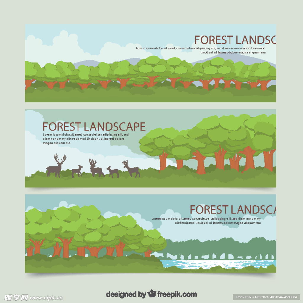 森林树木风景