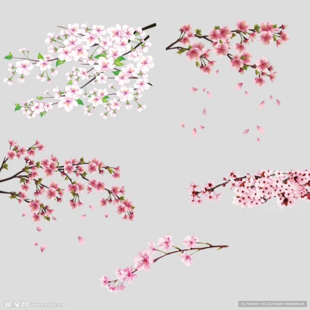 花枝设计图__广告设计_广告设计_设计图库_昵图网nipic.com