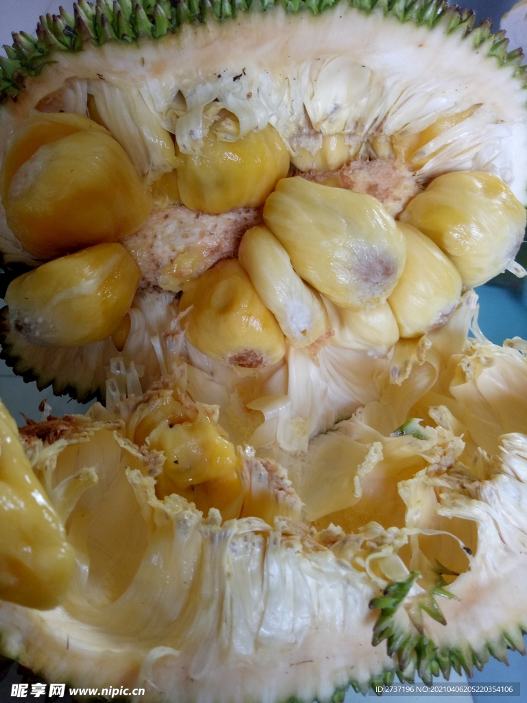 菠萝蜜