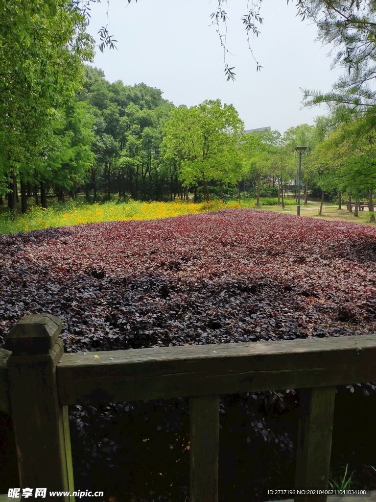 马山十八湾