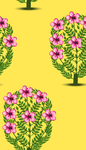 花卉
