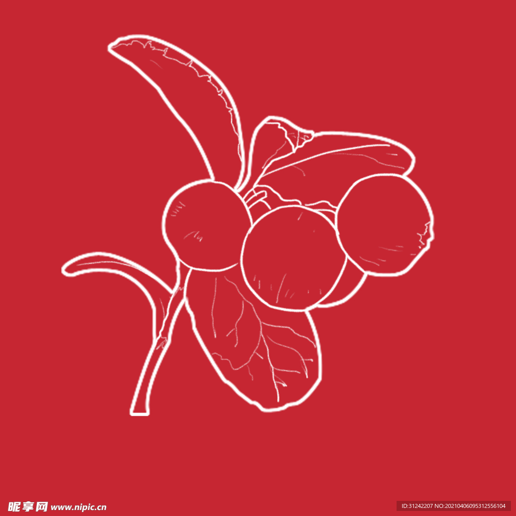 熊果苷手绘插画