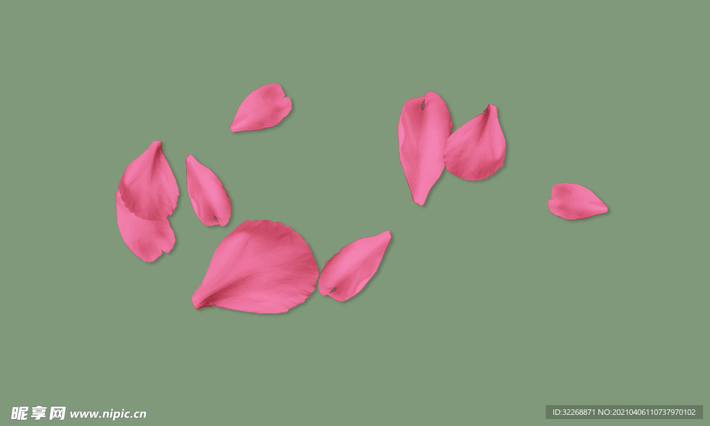 花瓣素材