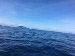大海海边图片