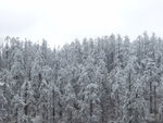 瓦屋山雪景
