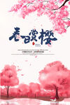 赏樱花